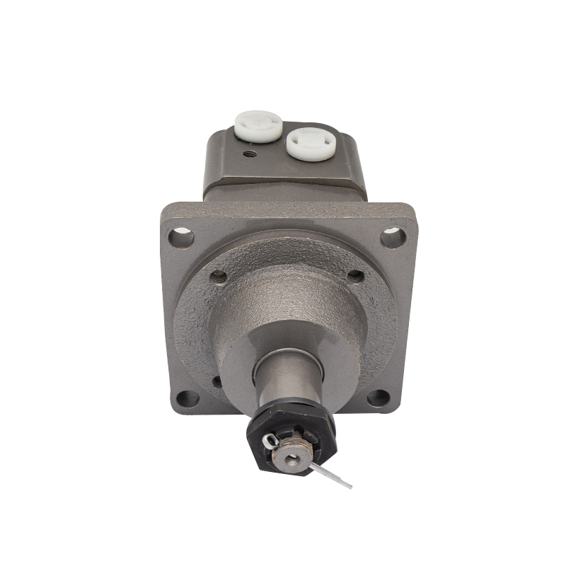 BM3W of BM3W100,BM3W125,BM3W160,BM3W200,BM3W250,BM3W315,BM3W400,BM3W500 hydraulic wheel motor